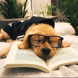 Meet your Posher, Carmen